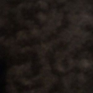 Meet your Posher, Lanell